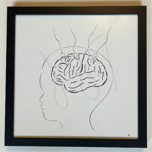 Ontwikkeling Hersenen